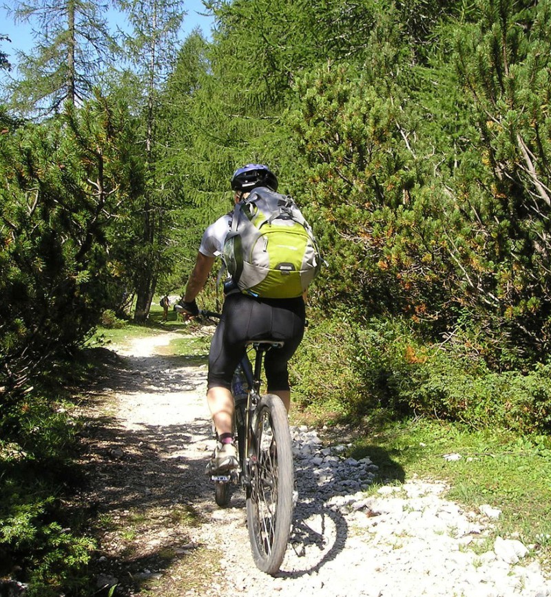 wyjazd na kolonie jura krakowsko częstochowska